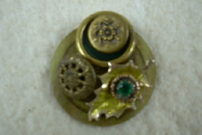 Pretty Button Brooch